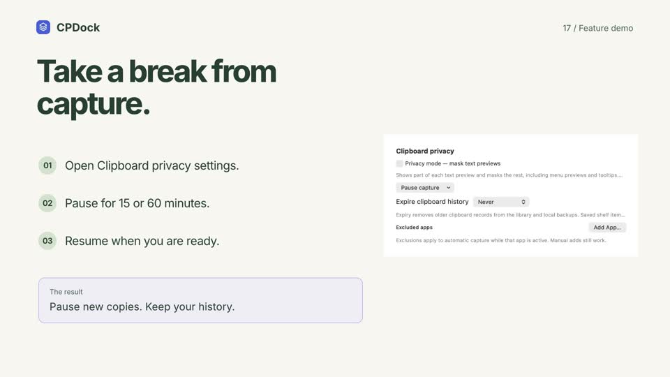 CPDock pause capture demonstration with sample content